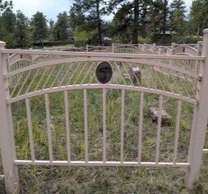 Bossler Grave Fence