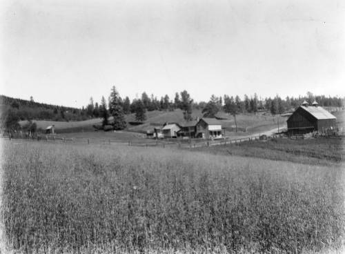 Beaver Ranch field, 1898