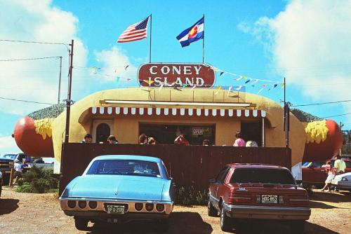 Coney Island Hot Dog Stand 1991, Conifer